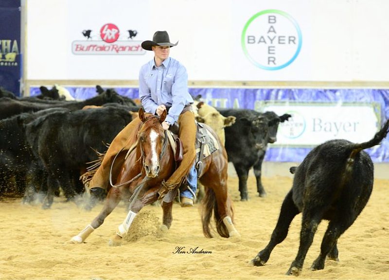 Jamie NCHA Cutting Futurity